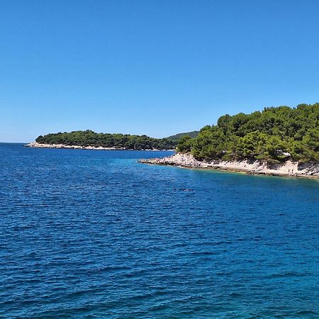 Villa Kamelija Fažana Екстериор снимка